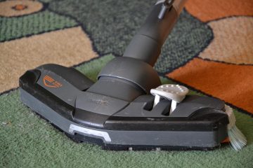 Avis aspirateur Dyson pour logements avec animaux