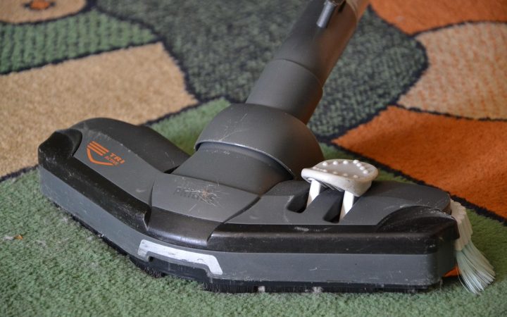 Avis aspirateur Dyson pour logements avec animaux