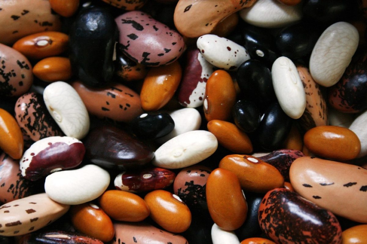 Conserver les légumes frais plus longtemps sans gaspillage