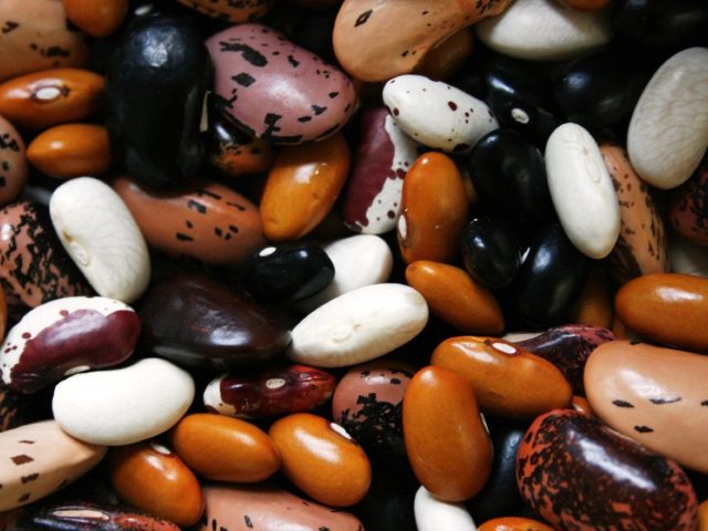 Conserver les légumes frais plus longtemps sans gaspillage