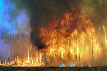 Incendie en Gironde : qui paiera les 11 millions d’euros de dégâts ?