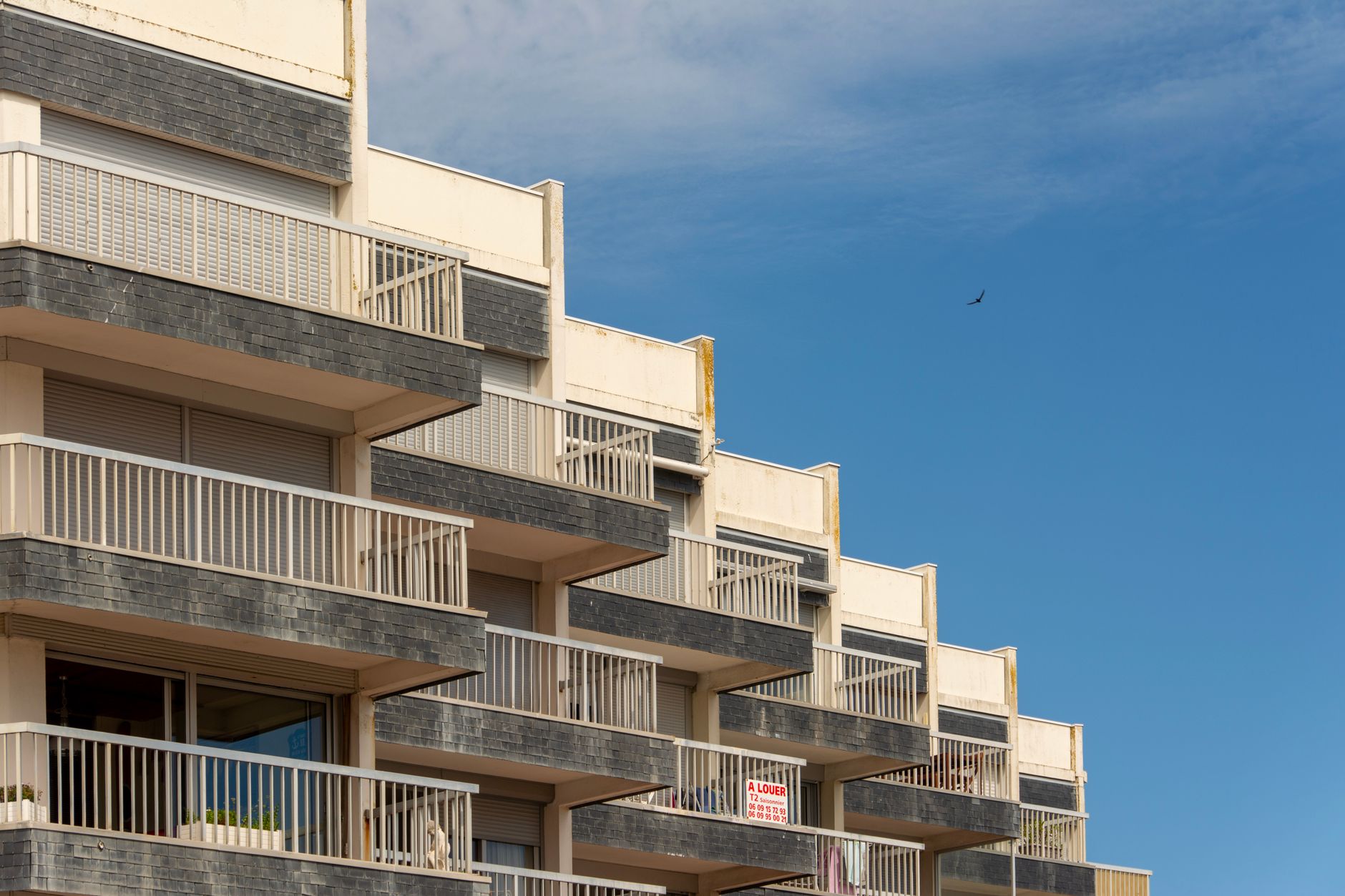 Évitez les Annonces de Loyers Illégales : Guide Pratique